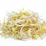 Sprouts (100 Grams)