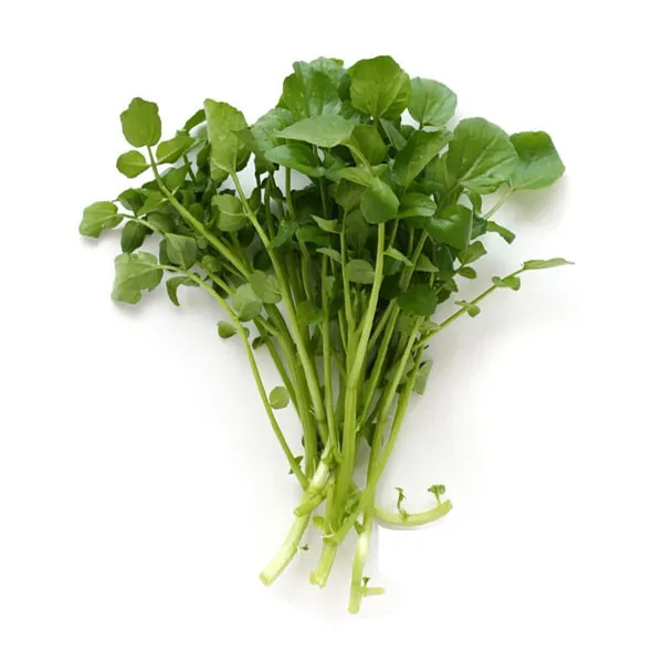 Paret Vegetables/Watercress (1 Bunch)