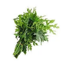 Papaya Leaves (1 Bunch)