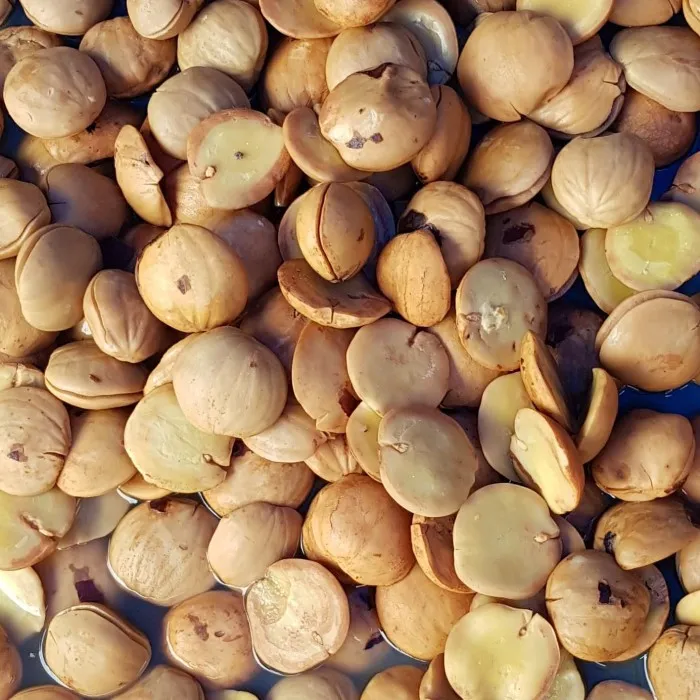 Boiled Jengkol (100 Grams)