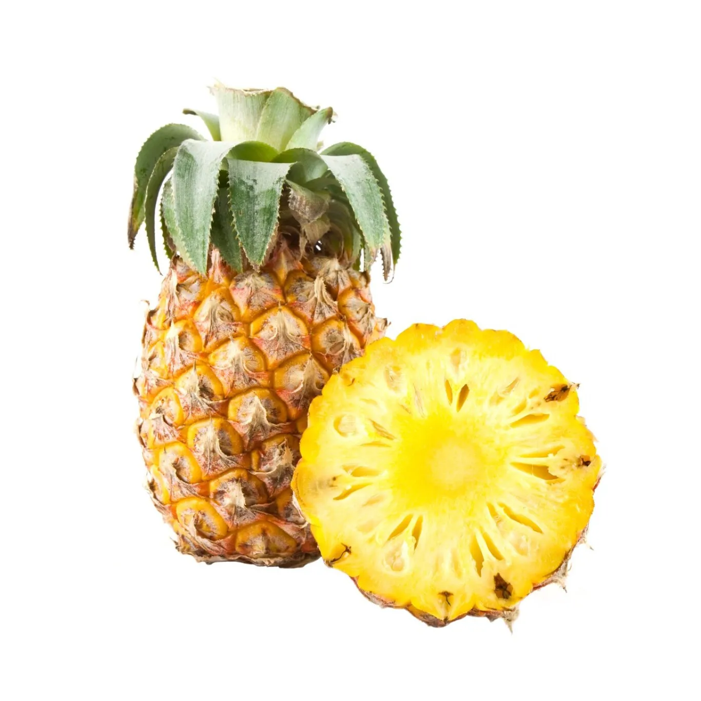 Large Pineapple (1 pcs) - Large Pineapple (1 pcs)