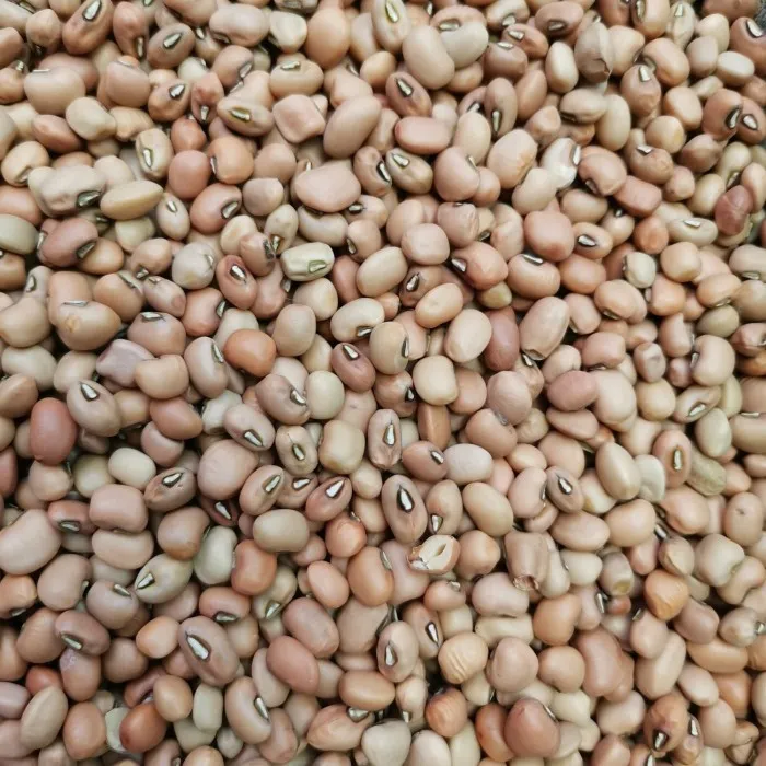 Cowpeas (100 Grams)