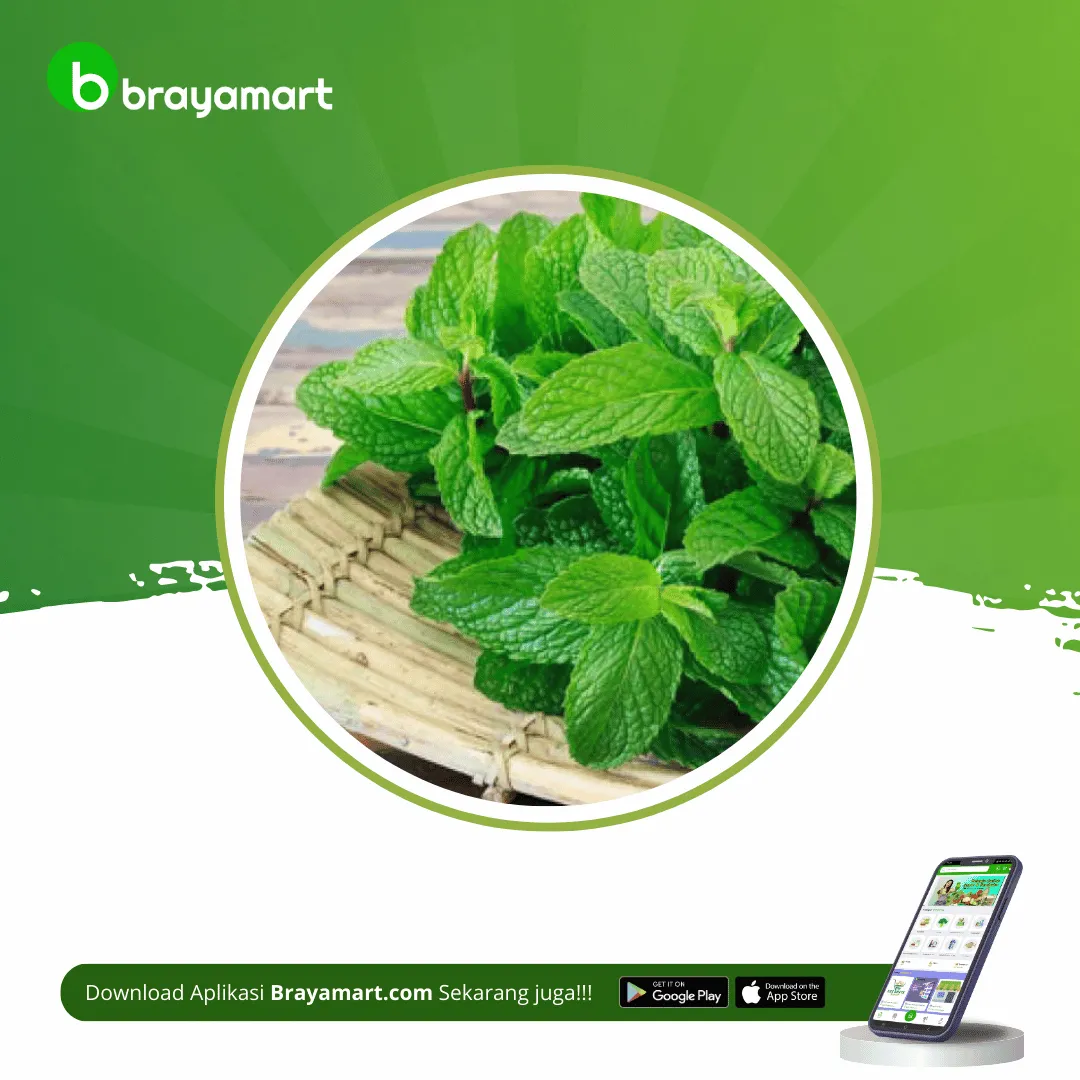 Daun Mint