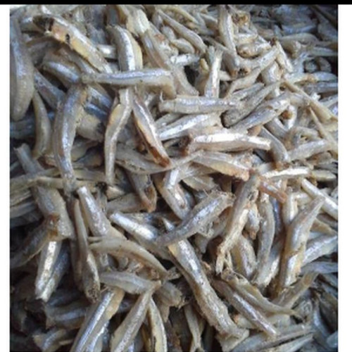 'Ikan Teri Jengki (100 gr )'