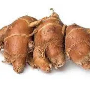 Galangal (100 gr)