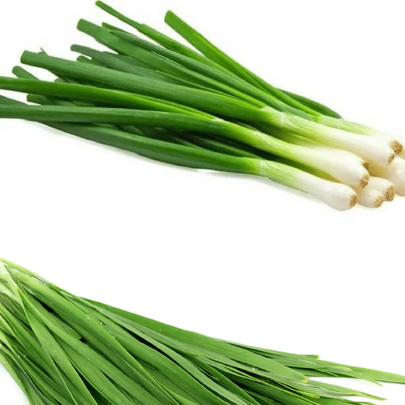 Chives (1 Bunch)