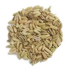 Sweet Fennel (1 Pcs)