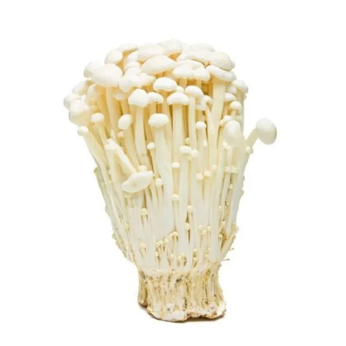 Enoki Mushrooms (1 Pcs)