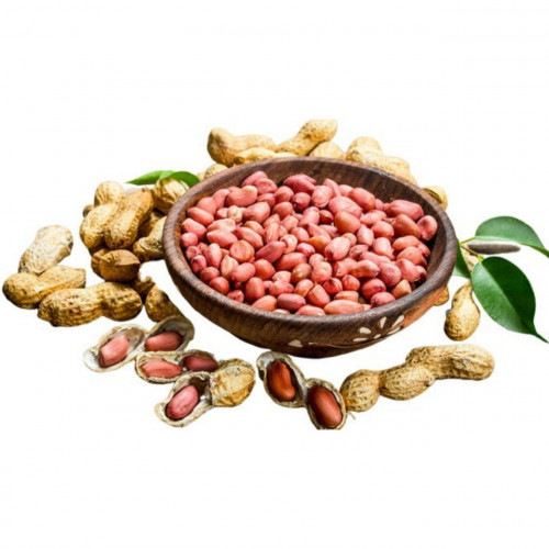 'Kacang Tanah (100 gr)'