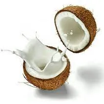 Pure Coconut Milk (500 Grams)