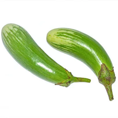 Long Green Eggplant (100 Grams)