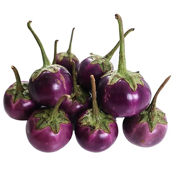 Purple Eggplant (100 Grams)