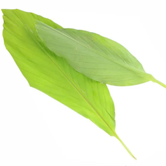 Turmeric Leaves (10 gr)