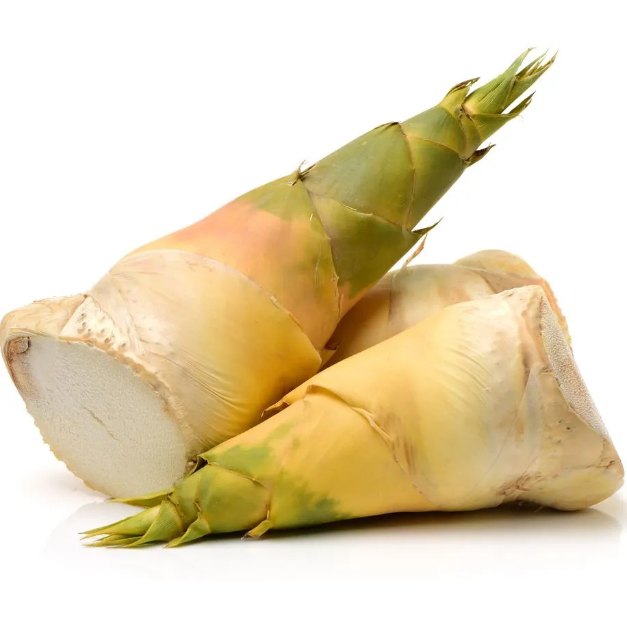 Bamboo Shoots (100 Grams)