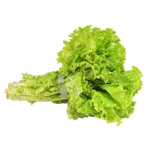 Lettuce (100 gr)