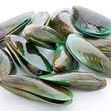 Green Mussels (1 kg)