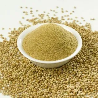 Coriander Powder 10 grams