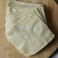 Dumpling Skin (1 Pack)