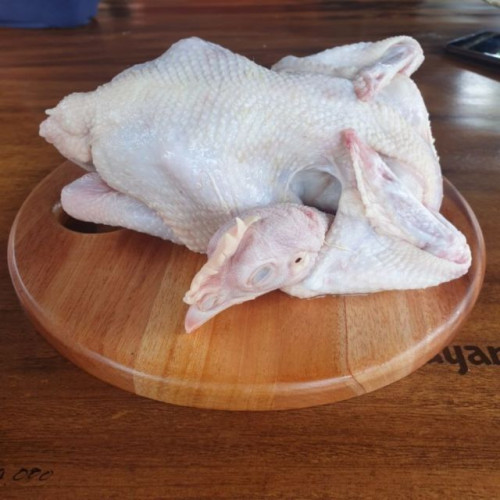 Ayam Kampung 1 Ekor (1,2-1,3 Kg)