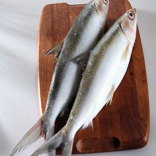 'Ikan Bandeng (500gr)'