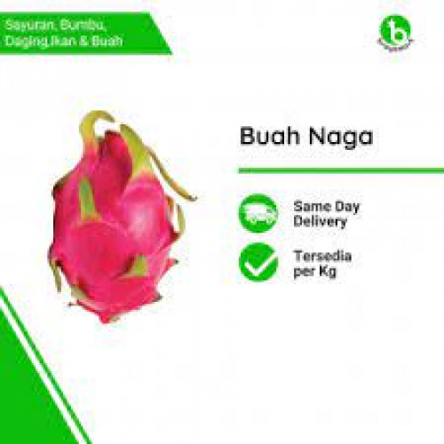 'Buah Naga ( 1 Kg)'