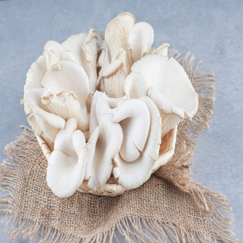 'Jamur Tiram (100 gr)'