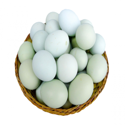 Telur Bebek (1 butir)