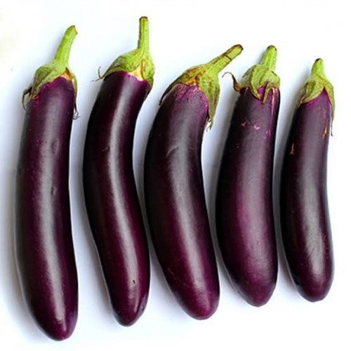 'Terong Ungu (500 gr)'